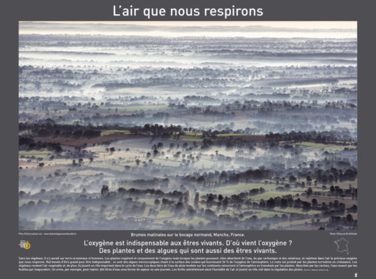 2007 POSTERS ecoles 580X780