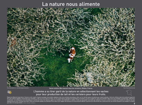 2007 POSTERS ecoles 580X780